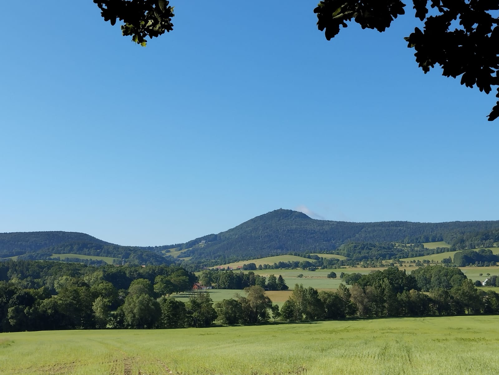 Lausche Webcam Zittauer Gebirge